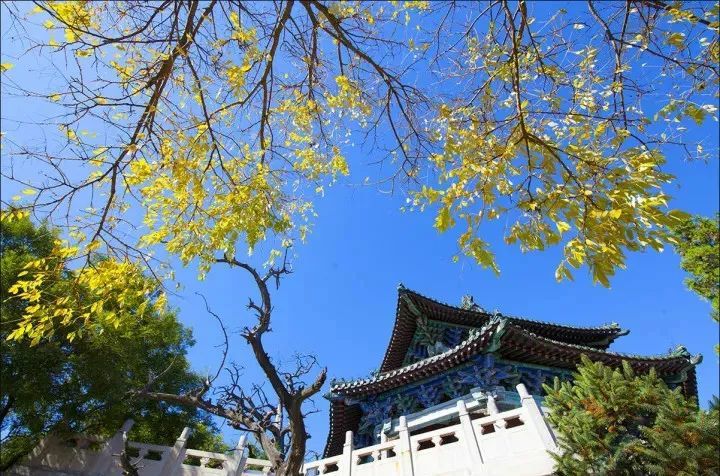 虞国人口_虞国口福19升大豆油(2)