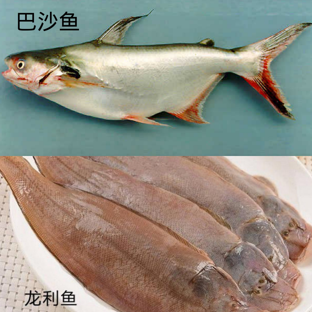 10元1斤的龙利鱼,竟然是巴沙鱼?教你辨别方法,在家自己做美食