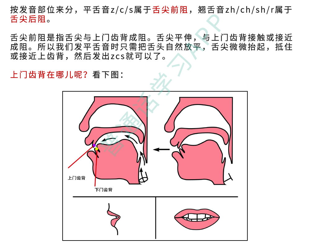 这种情况就要多练习平舌发音,加之口部操,增强自己对舌头的控制力.