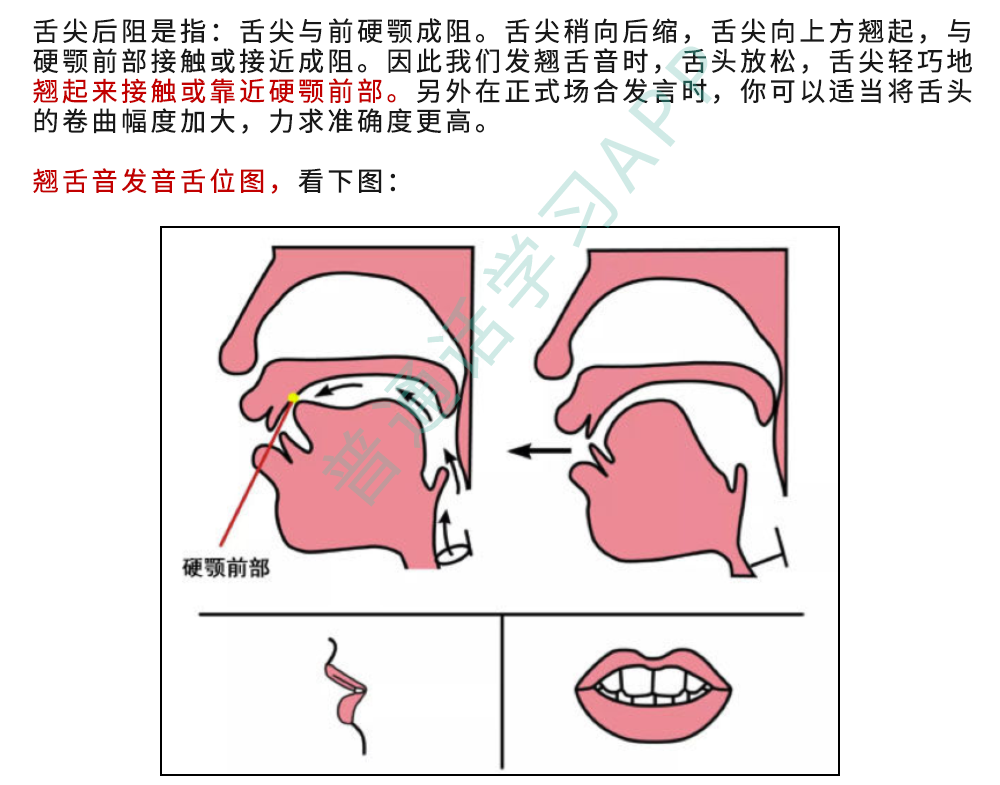 找准了位置,接下来,我们分别来看每个平翘舌声母具体是怎么发音的?