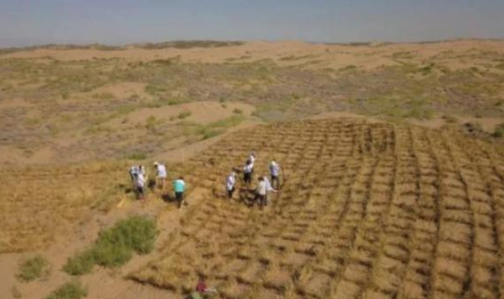 厉害中国发明的固沙机一天可吞噬40亩沙漠已在甘肃投用