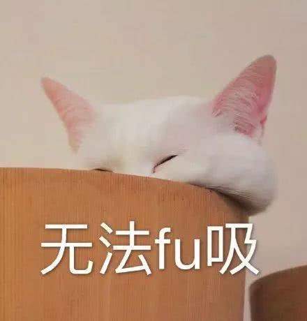 表情包:是谁掐住了沙雕网友命运的喉咙,当然是沙雕表情包啊