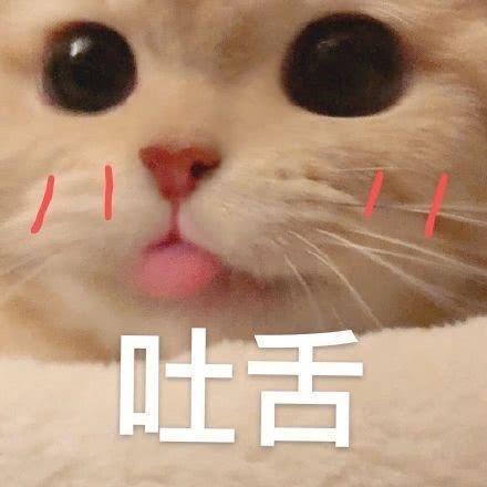 表情包:是谁掐住了沙雕网友命运的喉咙,当然是沙雕表情包啊