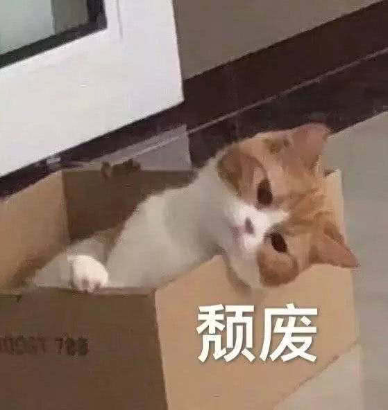 表情包:是谁掐住了沙雕网友命运的喉咙,当然是沙雕表情包啊