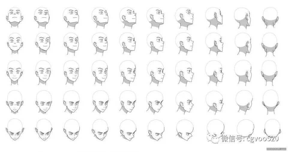 绘画基础素材头部多角度绘制教程