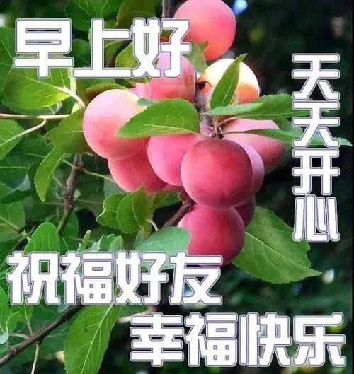 夏天天气热问候朋友早上好表情图片,祝福句子大全