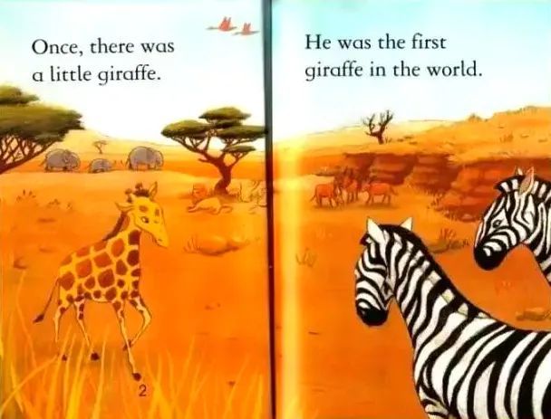 【绘本分享】《the little giraffe》小长颈鹿