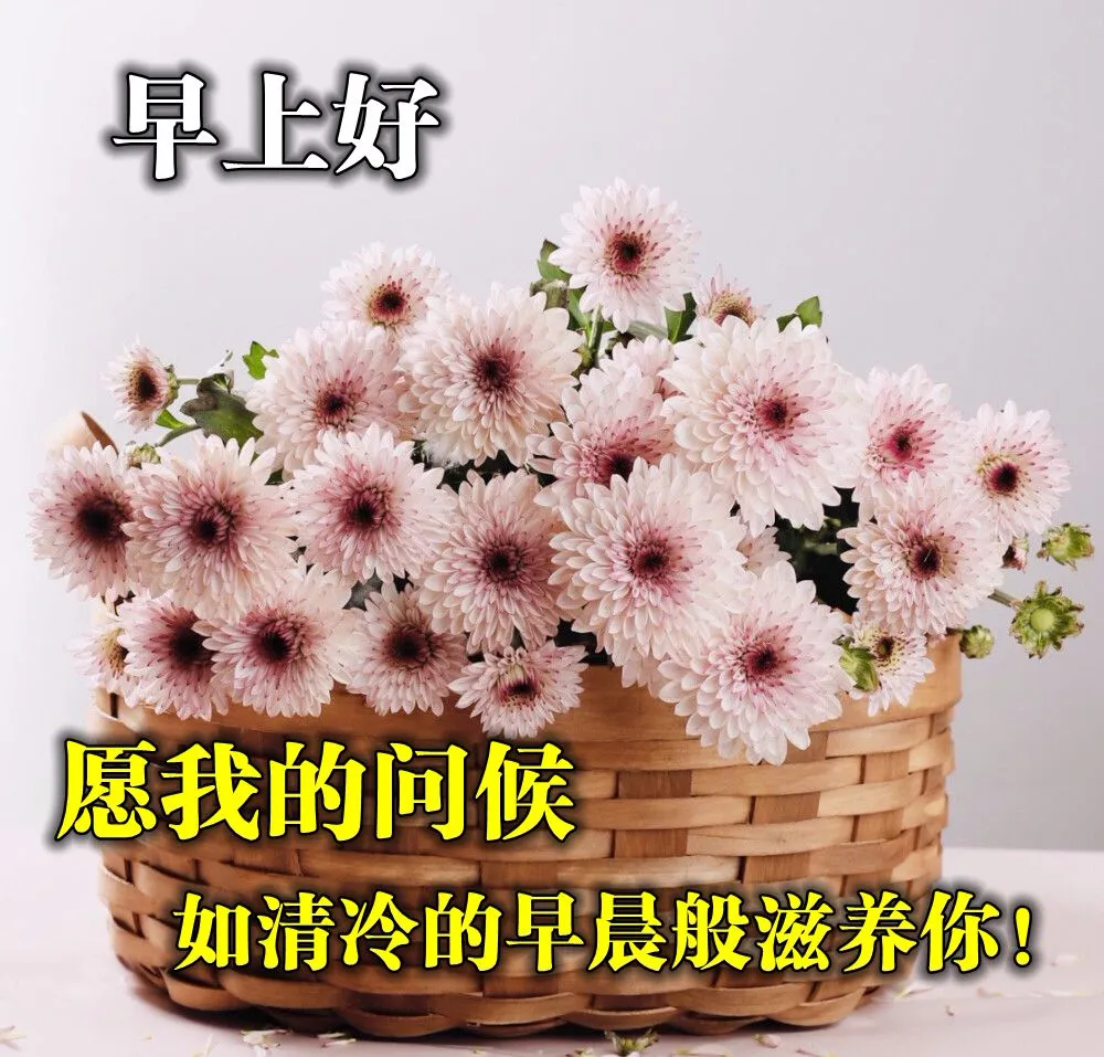 周三最新漂亮的早安吉祥图片大全星期三早上好最新问候图片带字