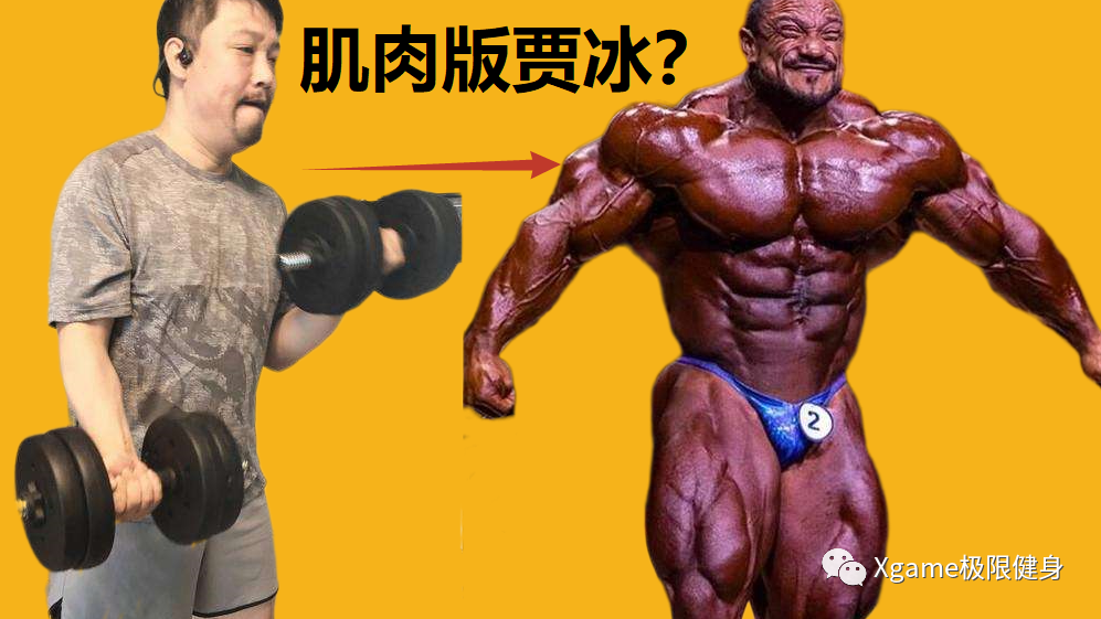 肌肉版贾冰？健美先生撞脸欢乐喜剧人，网友直呼太像了！