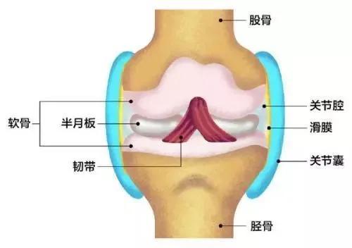 10天不运动，身体变了样！不爱运动的早亡风险比喝酒吸烟还高