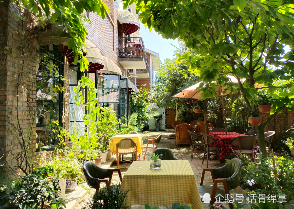 街角有阳光,院里飘着柒里咖啡香,沉浸在红砖小院里品人生百味