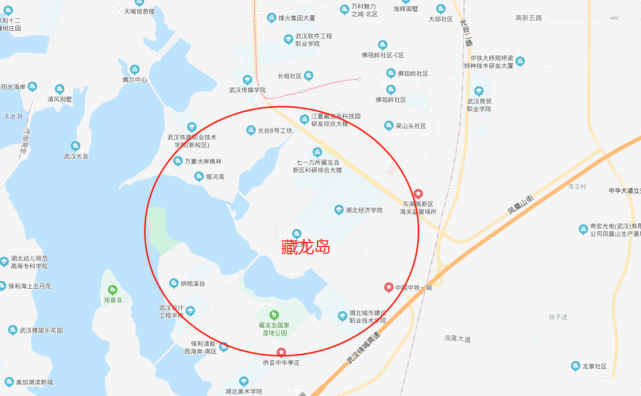 江夏区——藏龙岛