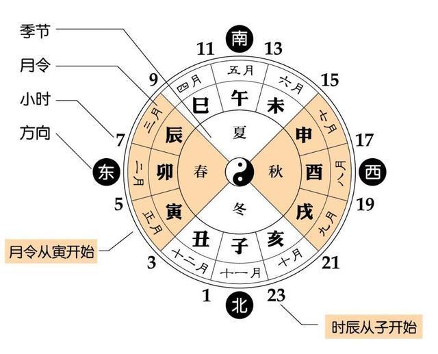 四柱八字之天干地支:怎么看自己八字的五行缺失和阴阳