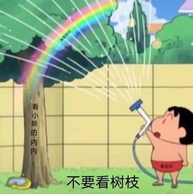 不要看树枝,看小新的内裤,看彩虹,我喜欢你