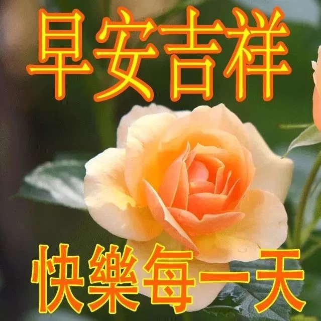 七月大家早上好啊,特漂亮的早安图片,祝愿大家健康每