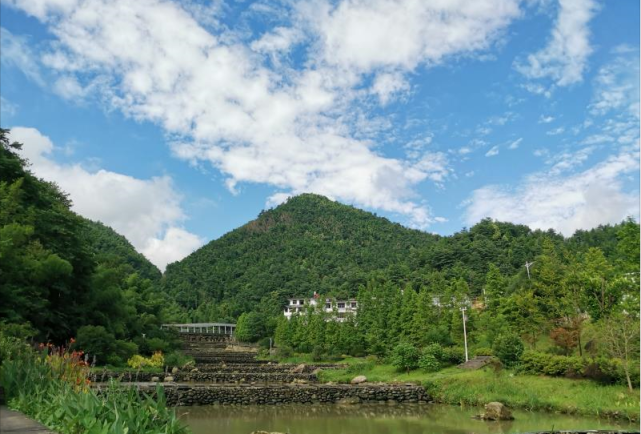 风雨之后艳阳天——湾里景区汛后恢复情况速递