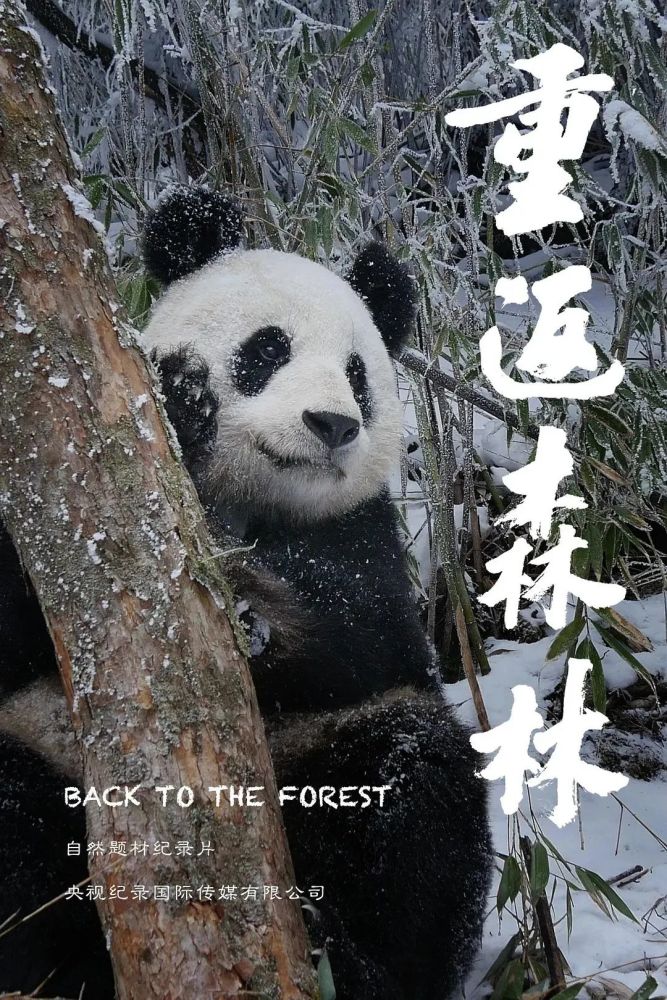 给孩子们推荐的7部高分纪录片,暑假快看起来吧!_腾讯新闻