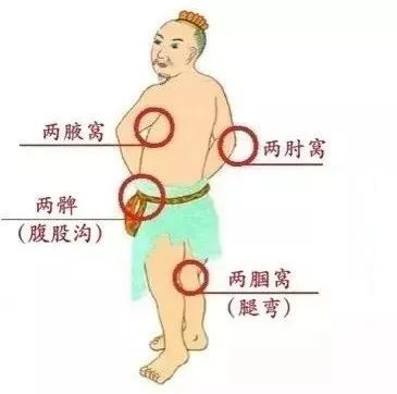2个腋窝 2个肘窝 2个腘窝(膝盖后方) 2个腹股沟(大腿根)