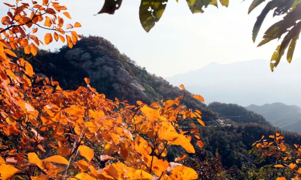 鲁山县尧山镇gdp_天龙池景区 鲁山县尧山镇天龙池景区 活动 免费场地 文化云