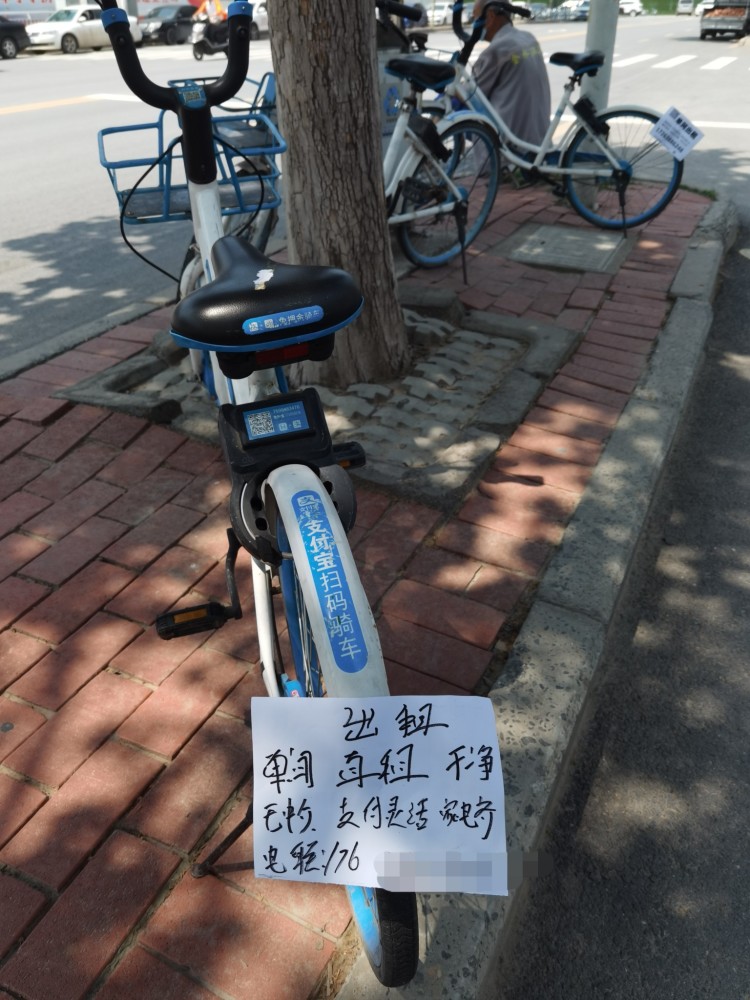 路边共享单车和公交站牌上都贴有租房小广告
