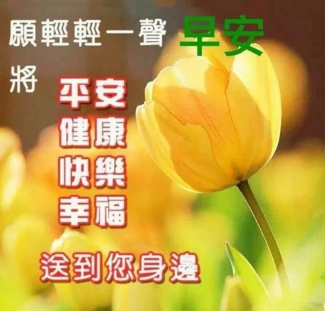 最新有创意的早上好问候祝福语图片 早安快乐祝福问候