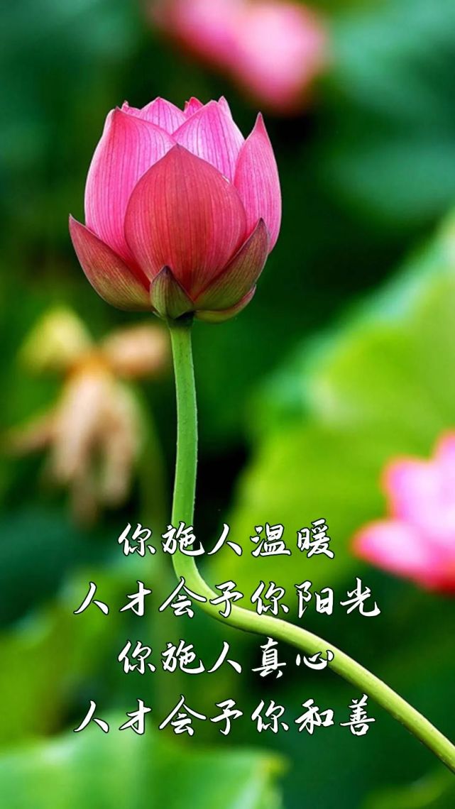 人好心好,有好报