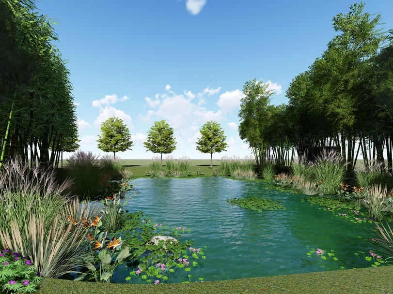 提升水质,建景观灯……乡村池塘"变身"为美丽风景线