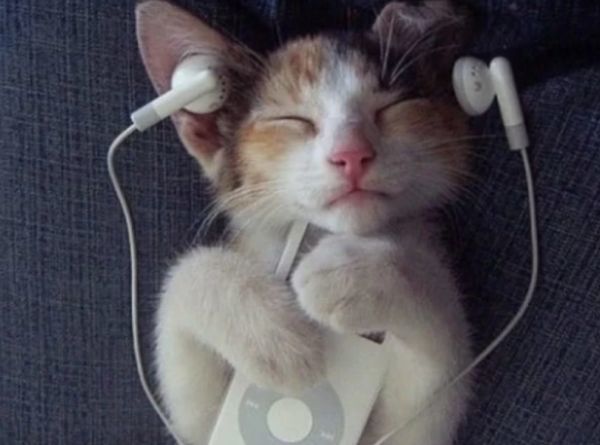 长期"戴耳机"听音乐睡觉,大脑到底会有什么变化?00后趁早了解