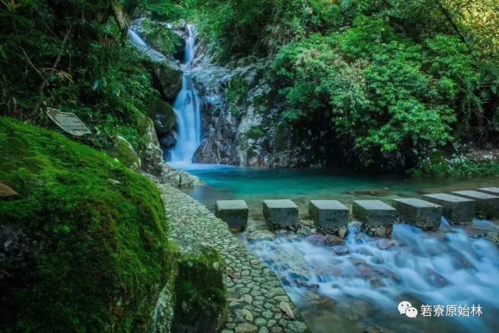 箬寮原始林景区 松阳箬寮原始林景区,是丽水避暑纳凉的好去处.