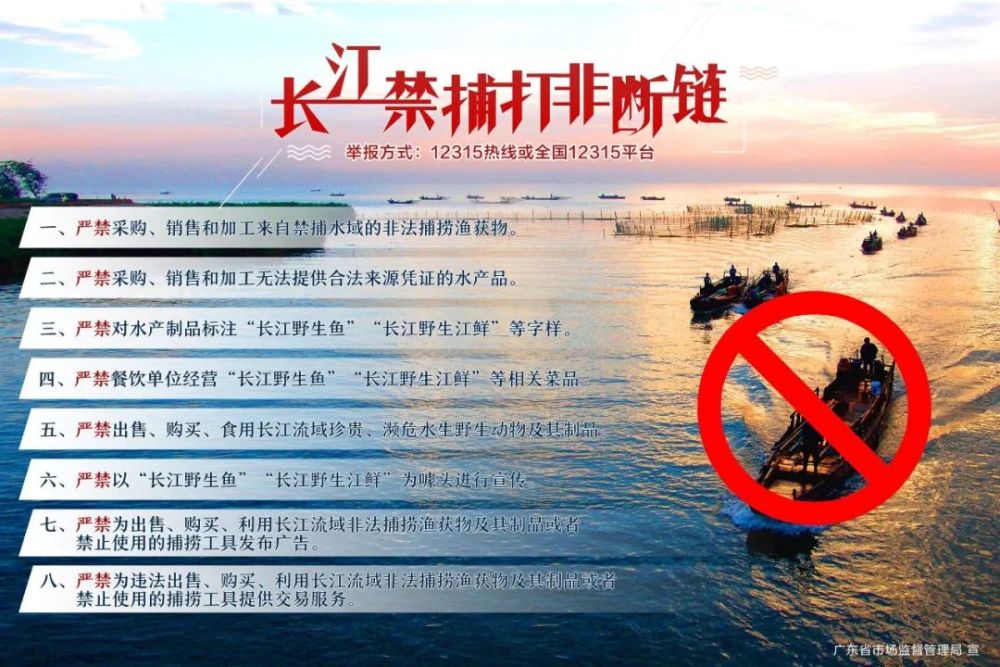 【提醒】长江"禁渔令"不是儿戏,请不要以身试法!