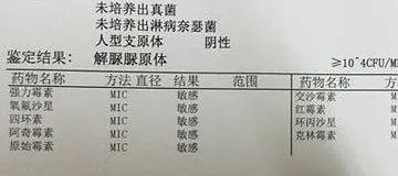 尿路支原体阳性需要治疗吗
