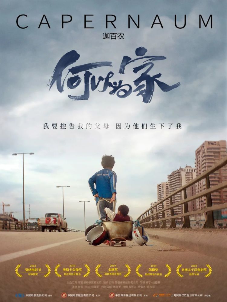 致敬"最美逆行者",来普陀这里免费请你看电影!