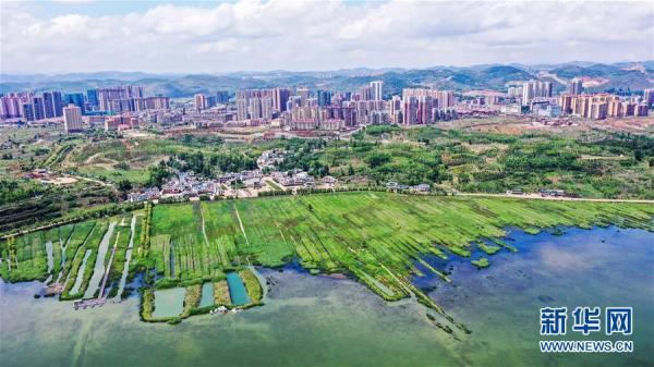 位于贵州省毕节市威宁彝族回族苗族自治县境内的草海,是地球同纬度