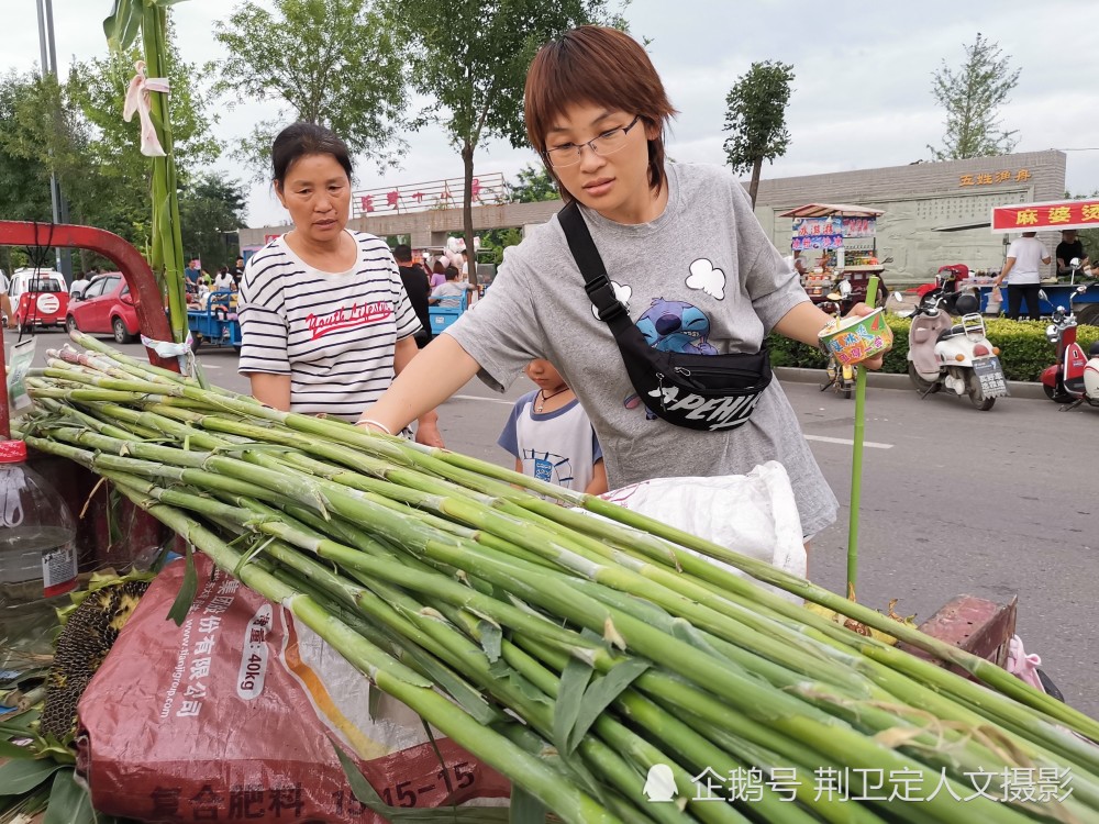 山西农村"甜甜杆",北方甘蔗味道好,美女孩子最喜欢,看