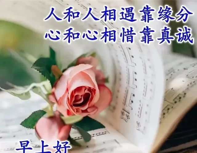 大家早上好祝福问候语,特漂亮的早安祝福唯美图片带字