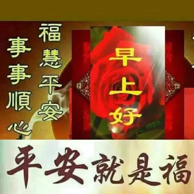 美好的周四全新的早上好祝福问候图片,愿你幸福清凉一