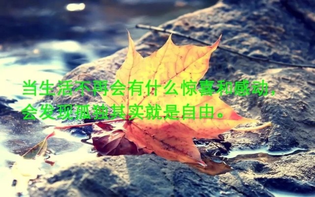 早安发朋友圈名言名句