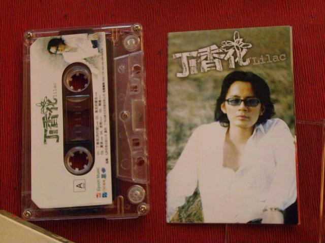从老鼠爱大米到丁香花那些陪伴我们青春的经典网络歌曲