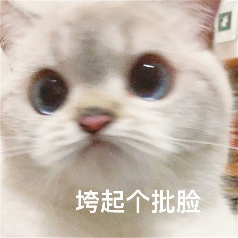 "认识你真好,不认识更好!