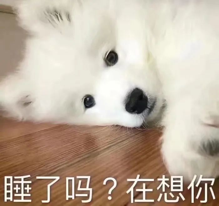 "认识你真好,不认识更好!