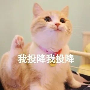 "认识你真好,不认识更好!