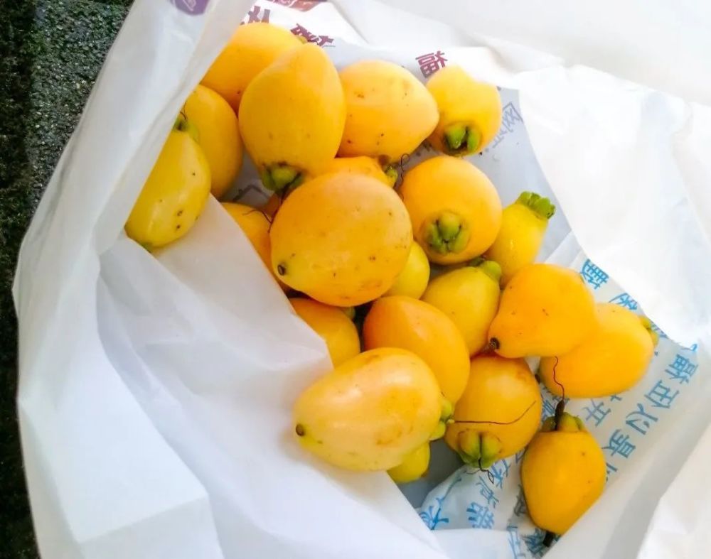 它叫葡桃果(rose apple)是桃金娘科蒲桃属的一种植物,也叫做葡桃