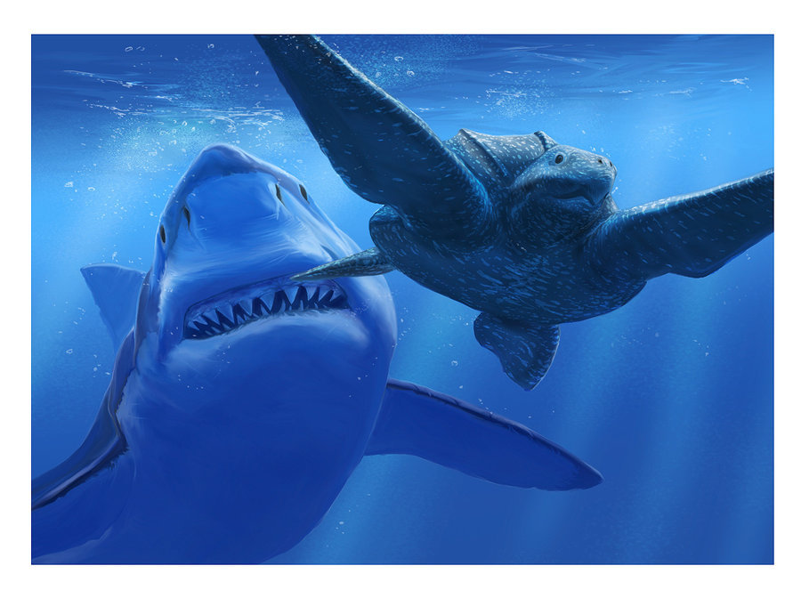 白垩刺甲鲨:敢与沧龙叫板的远古巨鲨