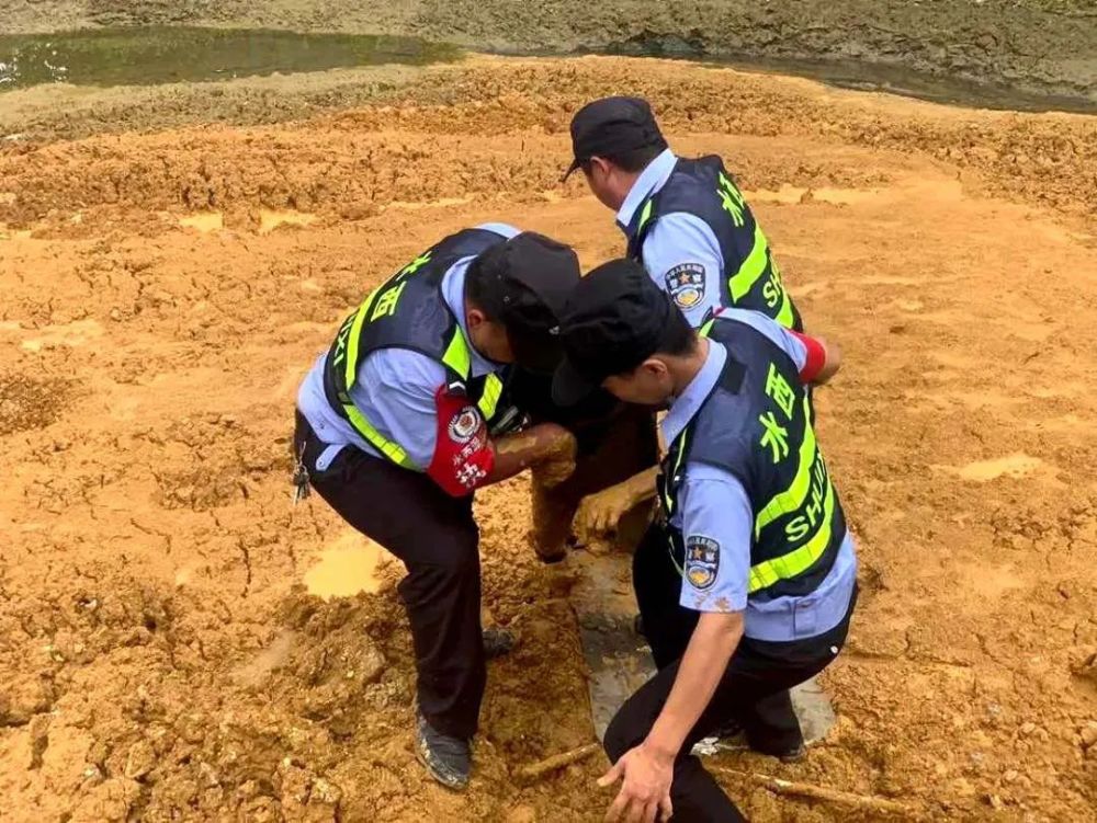 保洁员陷入泥浆危在旦夕 辅警及时救援转危为安