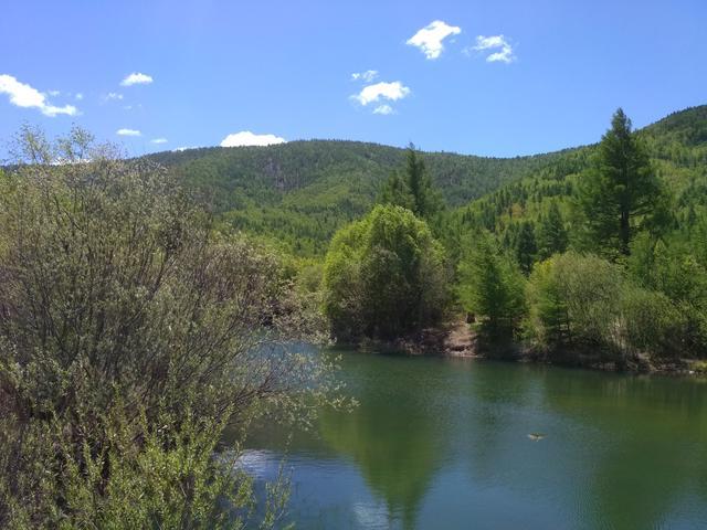 去内蒙阿尔山旅游推荐个新景点,风景美如东北雪乡,山花烂漫落英缤纷