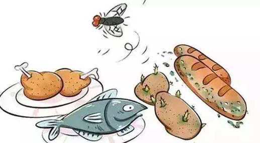 食物部分发霉，没必要扔掉？小心把霉菌吃进肚子里