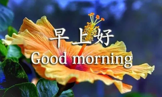 7月24,微信朋友圈特漂亮的早上好图片 早上好问候句子