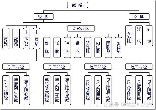 中医经络学说的文献