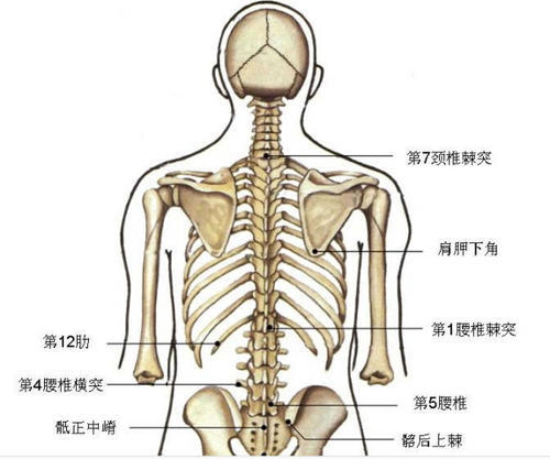 棘突炎的临床有效调理方法