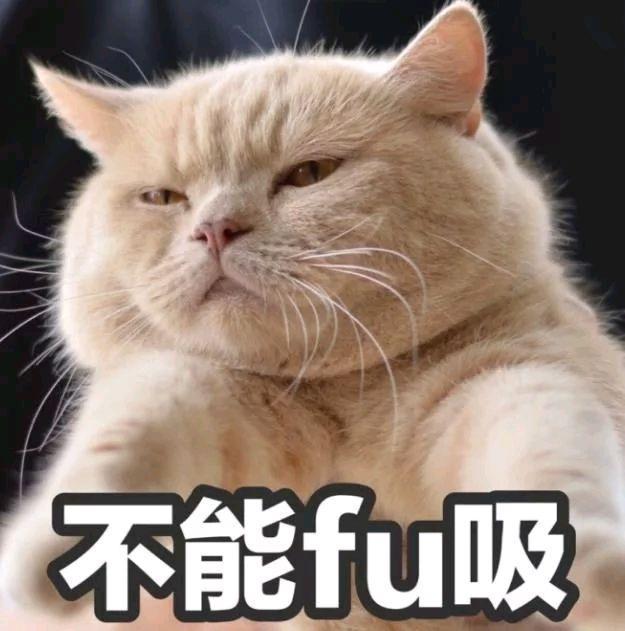 当然啦,猫咪们变蠢肯定不止被摔坏脑子这一个原因,也可能是因为脑门被